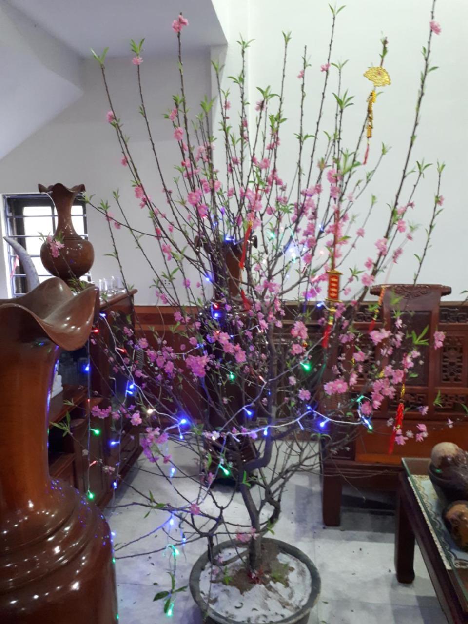 Hotel Thanh Minh Chau Lang Chanh Экстерьер фото